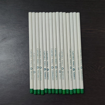 100% Recycled Paper Pencils - Set of 10