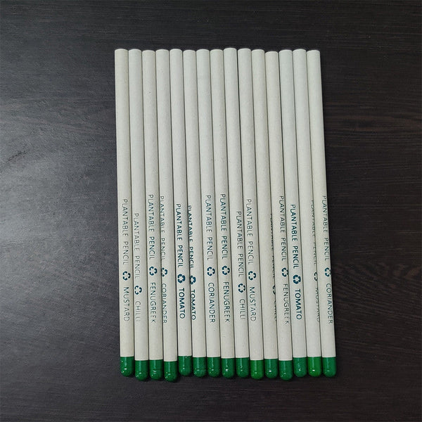 100% Recycled Paper Pencils - Set of 10