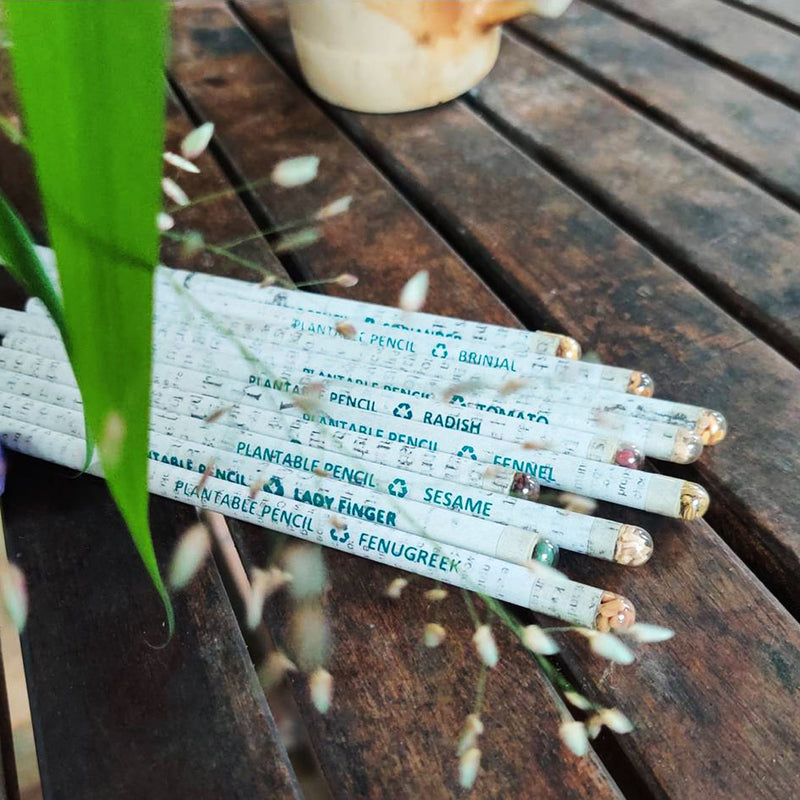 Plantable Seed Colour Pencils | Recycled News Paper | Pack Of 10 X1