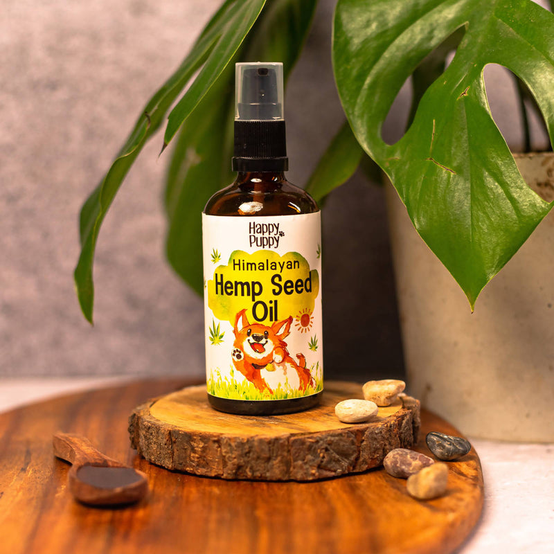 Hemp Seed Oil for Dogs | 100ml