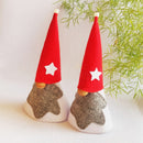 Garden Gnomes | Garden Décor | Set of 2