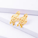 Brass Drop Earrings | Matang | 18K Gold Plated