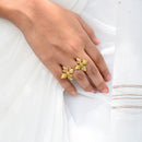 Brass Dual Ring | Florian | 18K Gold Plated