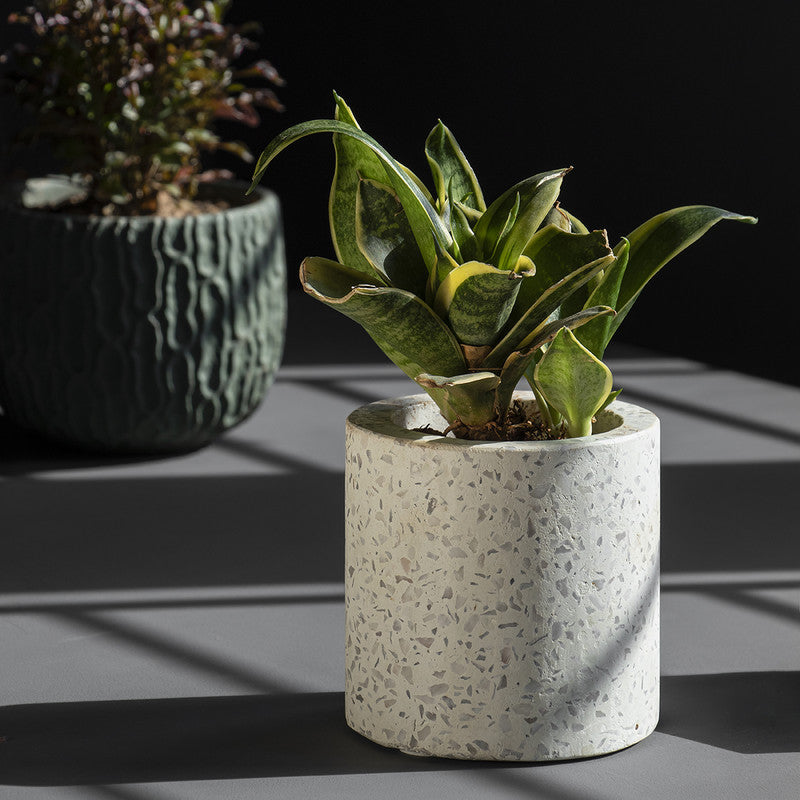 Terrazzo Pot Holder | White