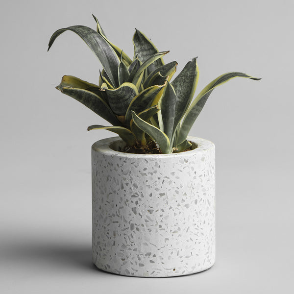 Terrazzo Pot Holder | White