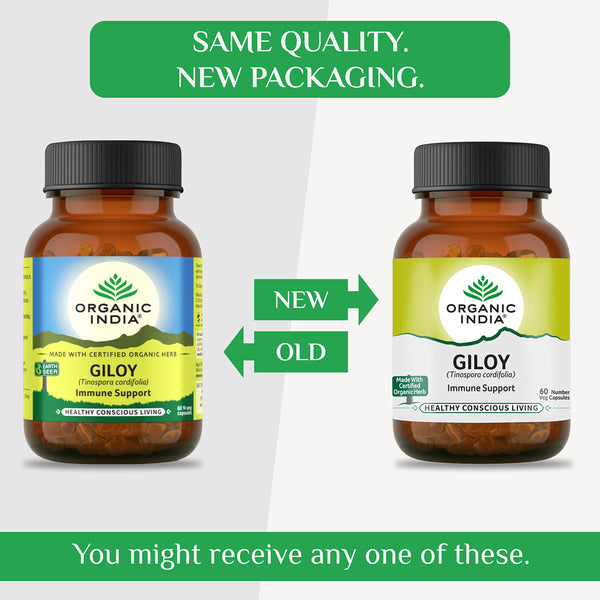 Organic India | Immunity Booster Giloy | 60 Capsules