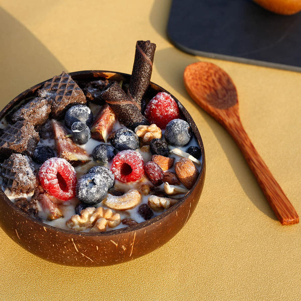 Handmade Coconut Shell with Spoon