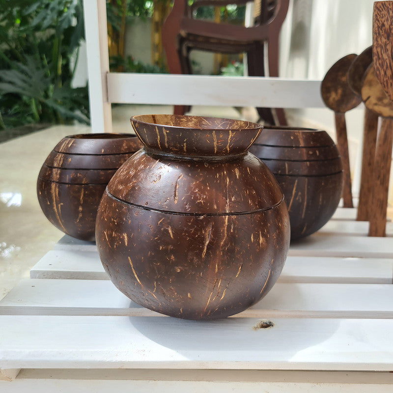 Coconut Shell Planter | Pot Shaped | Brown