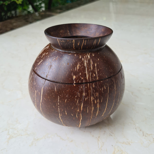 Coconut Shell Planter | Pot Shaped | Brown