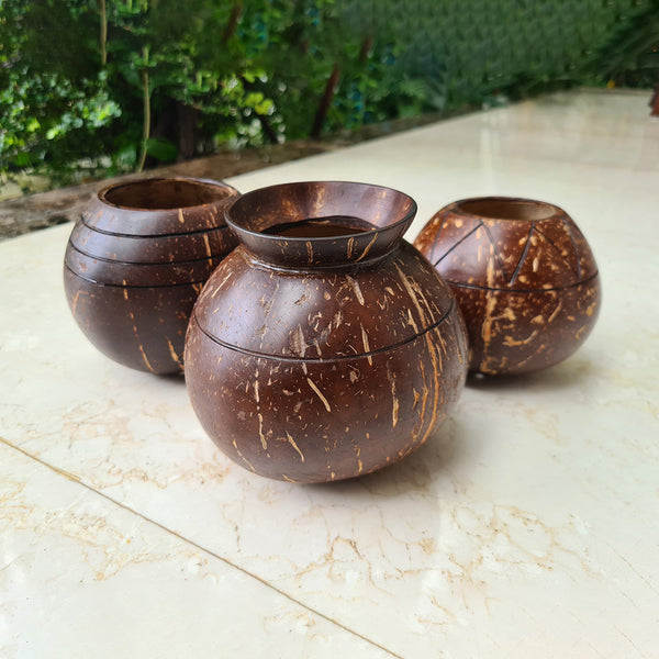 Coconut Shell Planter | Pot Shaped | Brown