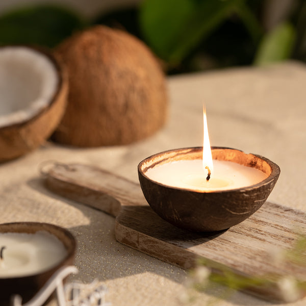 Organic Scented Candles | Coconut Fragrance | Set of 2