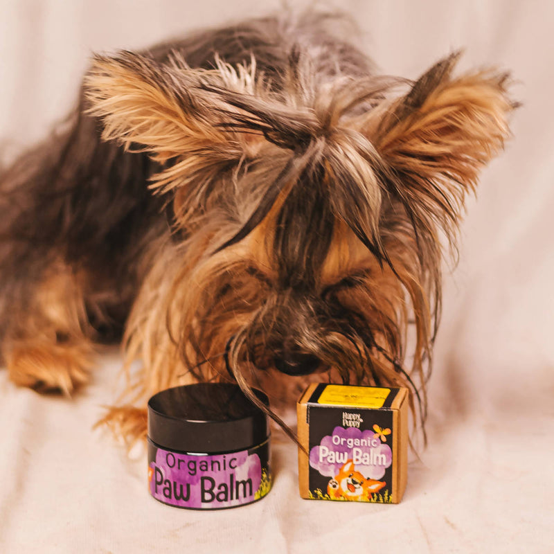 Handmade Organic Paw Balm for Dogs | 8 g