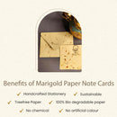 Marigold Paper Note Cards | Treefree Paper