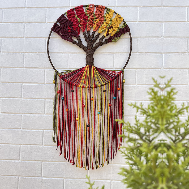 Macrame Wall Hanging | Cotton | Handcrafted | Multicolour