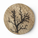 Wooden Coasters | Mango Wood | Brown | Set of 4