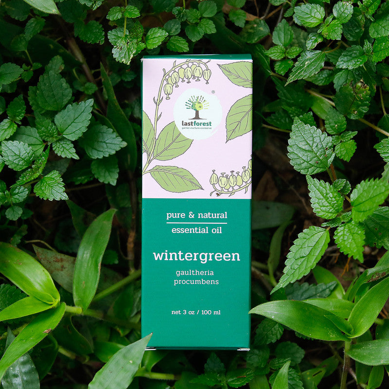 Wintergreen Essential Oil | Relieve Joint & Muscle Pain | 100 ml