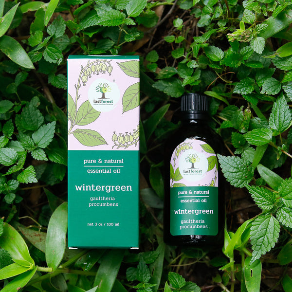 Wintergreen Essential Oil | Relieve Joint & Muscle Pain | 100 ml