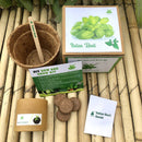 DIY Italian Basil Genovese Gardening Kit