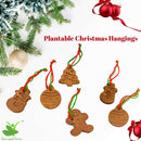 Plantable Seeds Ornaments | Home Decoration