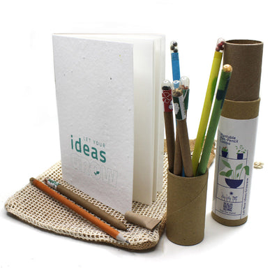 Stationary Kit | Seed Pens & Pencils | Notepad | Set of 10