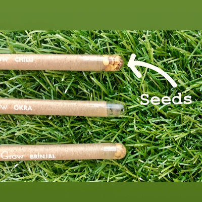 Gifts for Men | 10 Seed Paper Pens | 1 Seed Diary | 1 Seed ball