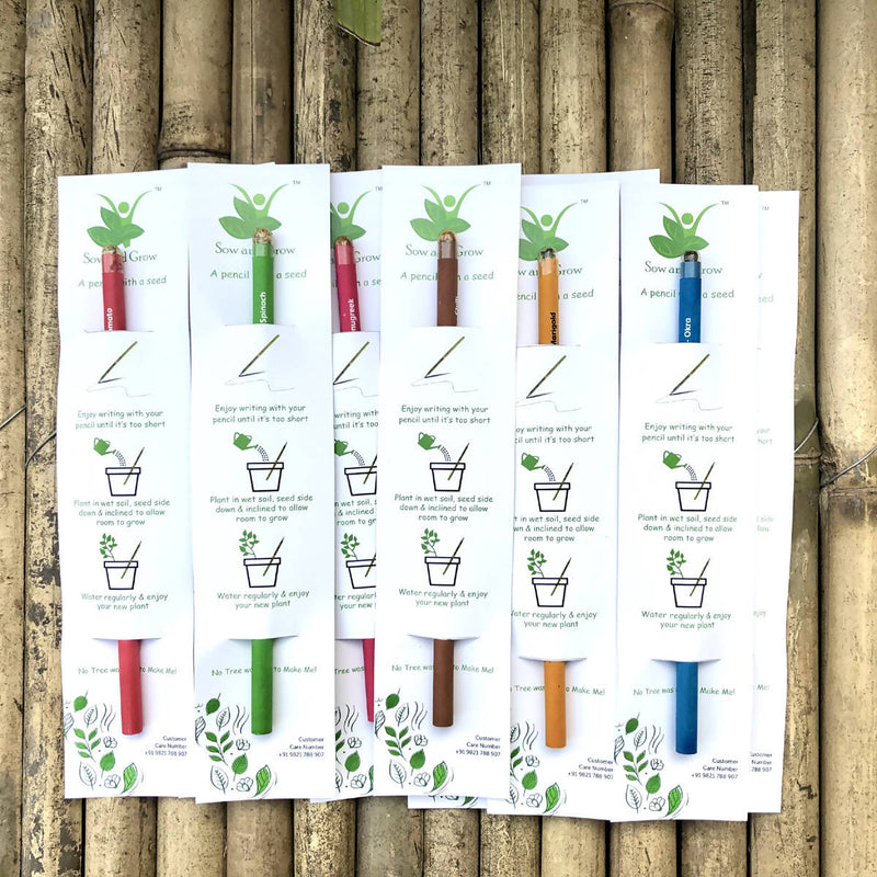 Plantable Seed Pencils | Gift Pack | Pack of 10