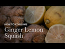 Squash | Mint Ginger Lemon | Anti Oxidant | 600 ml