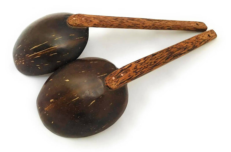 Handmade Coconut Shell Serving Spoon Set of 2