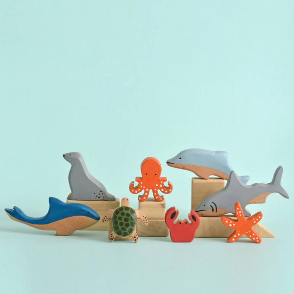 Birch and Bug Wooden Toys for Kids | Aquatic | Fun & Creative Learning | Set of 8