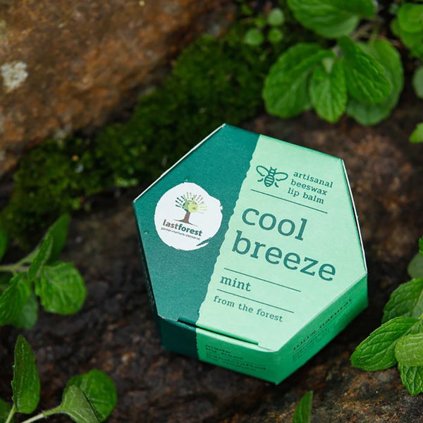 Lip Balm | Artisanal Mint Handmade Beeswax | 5 g