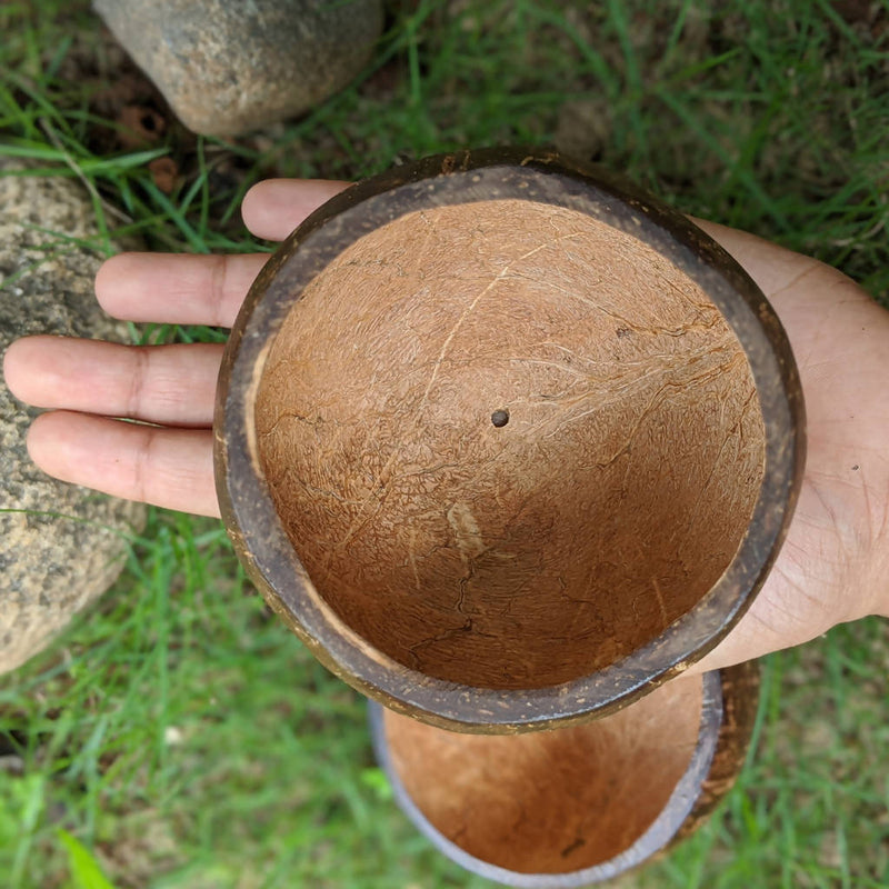 Coconut Planter | Indoor Plant Pots | Handmade