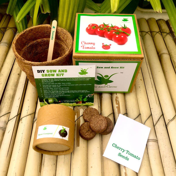 DIY Cherry Tomato Gardening Kit