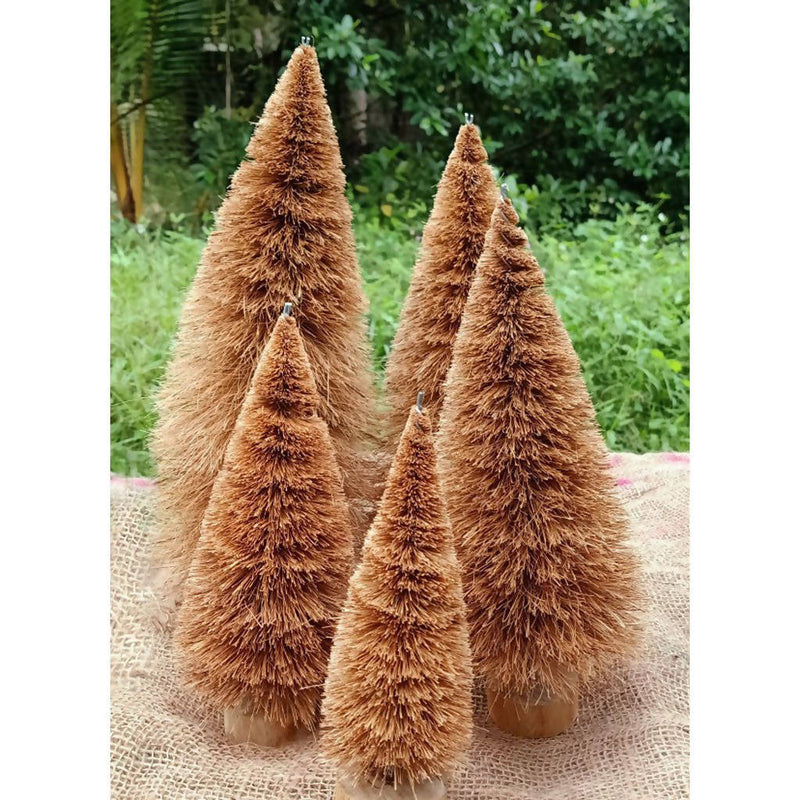 Tabel Decor | Coir Coconut Tree | Brown