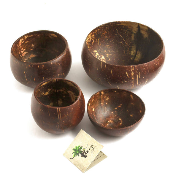 Coconut Bowl | Set of 4